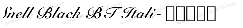 Snell Black BT Itali字体转换
